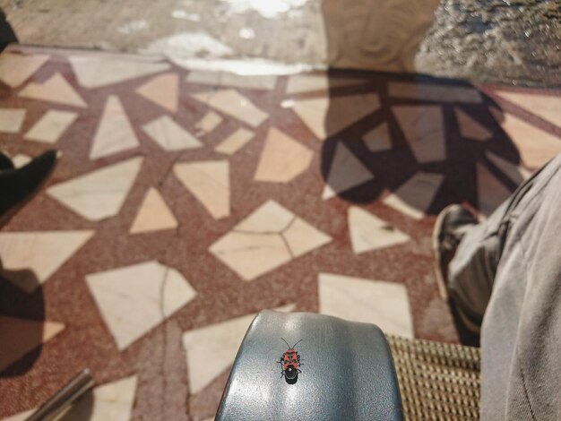 Panduan Praktis Mengelola Karpet Masjid Agar Tahan Lama mengelola karpet masjid tahan lama